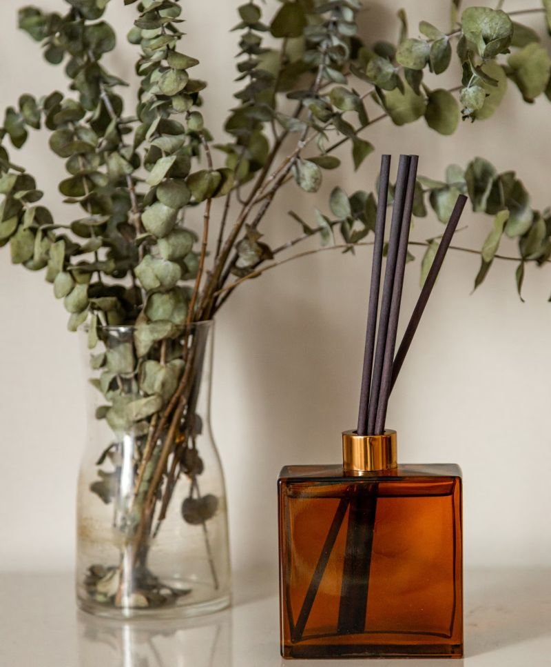 Reed diffuser with plant
