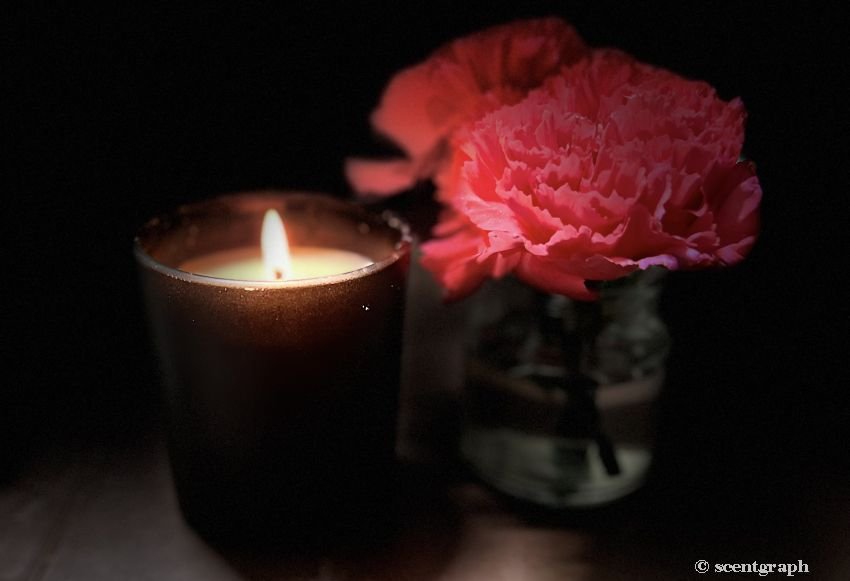a lit candle near a flower