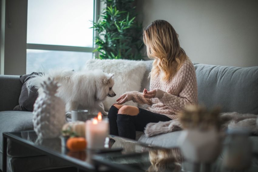 how do pets react with scented candles