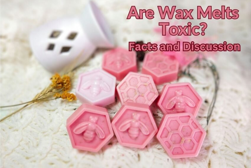 are wax melts toxic - representation image showing wax tarts with wax warmer in background